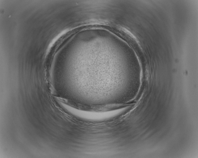 X0000080201310200612221355