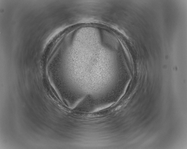 X0000080201311200612221355