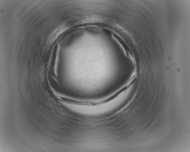 X0000080201313200612221355