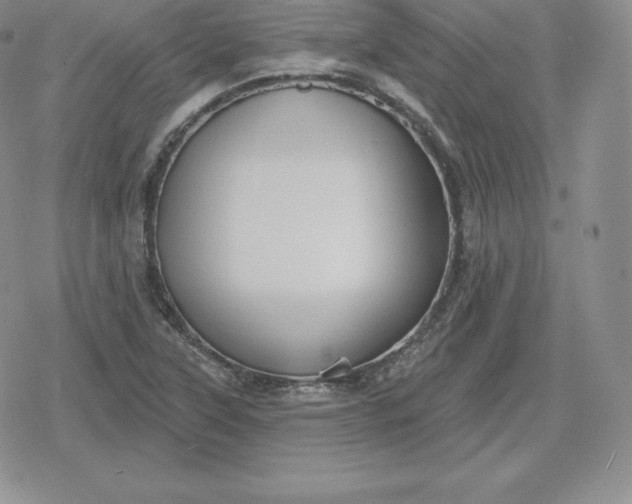 X0000080201315200612221355