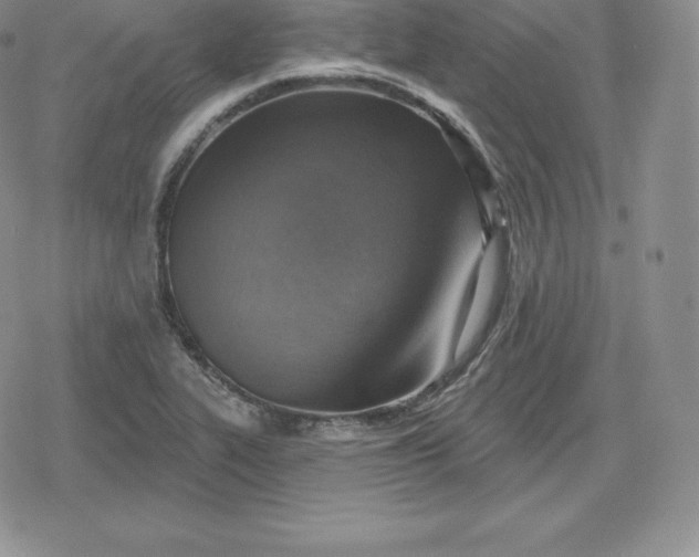 X0000080201319200612221356