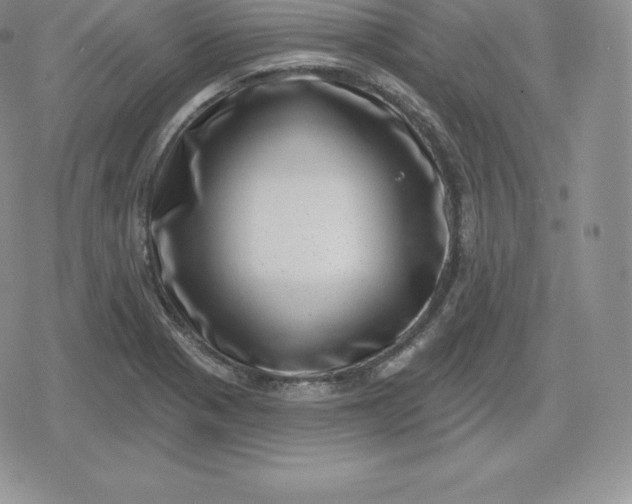 X0000080201321200612221356