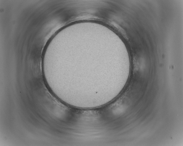 X0000080201322200612221356