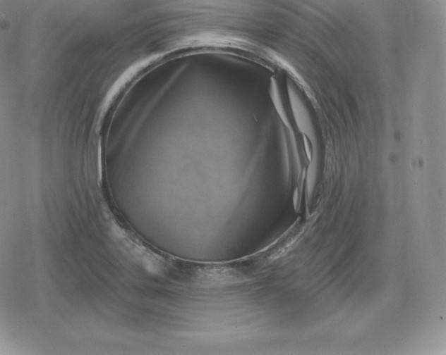 X0000080201323200612221356