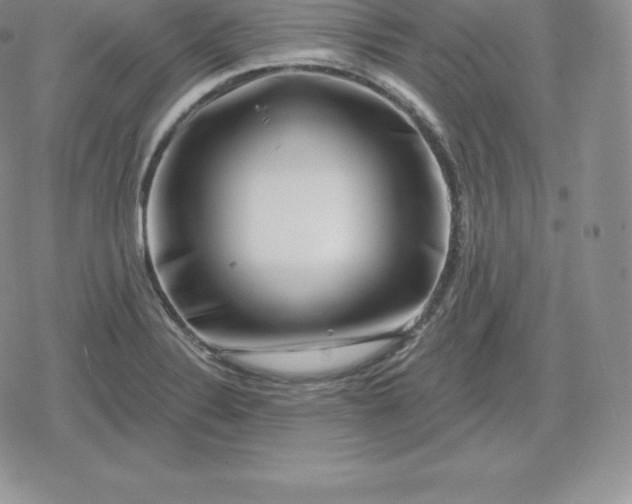 X0000080201324200612221356