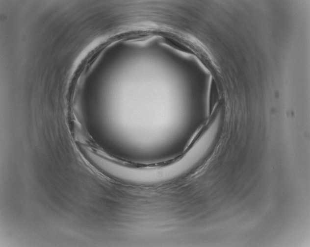 X0000080201326200612221356