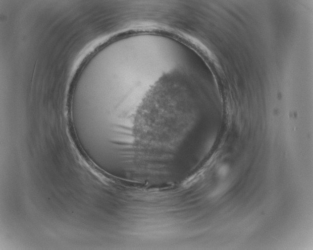 X0000080201327200612221356