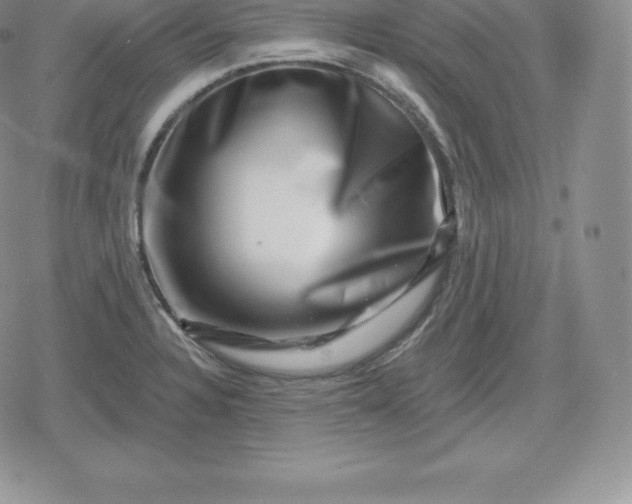 X0000080201328200612221356