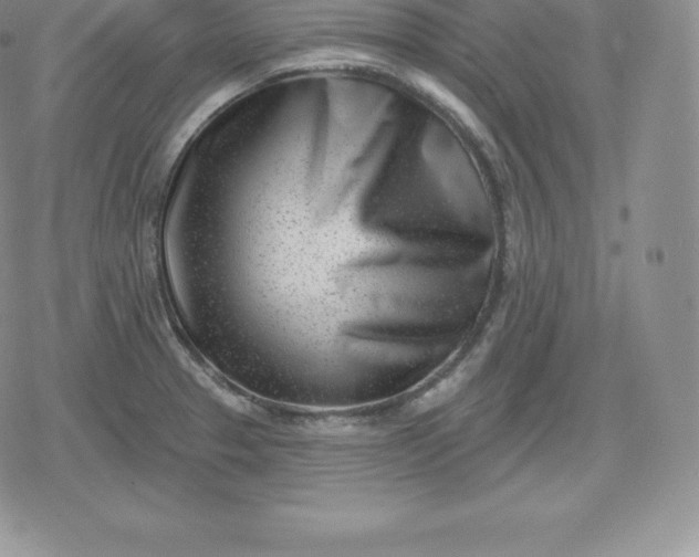 X0000080201329200612221356