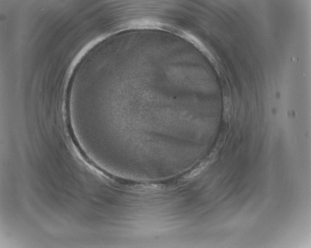 X0000080201331200612221356