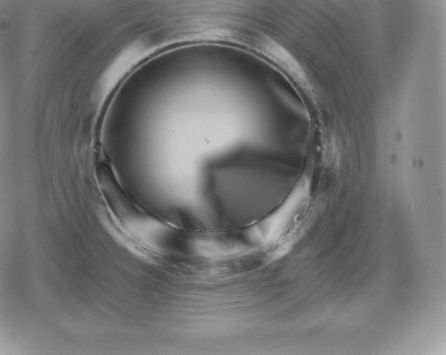 X0000080201332200612221356