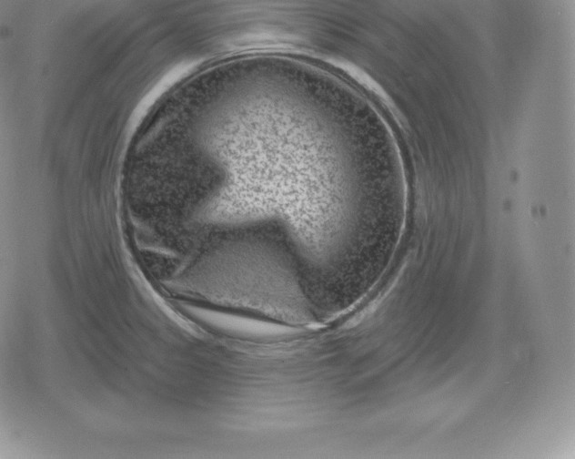 X0000080201333200612221356