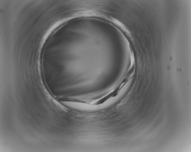 X0000080201334200612221356