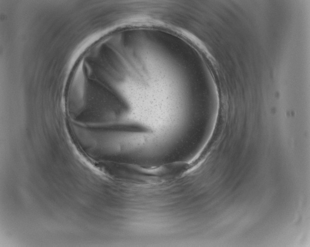 X0000080201335200612221356