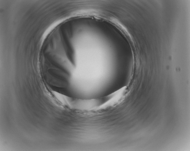 X0000080201336200612221356