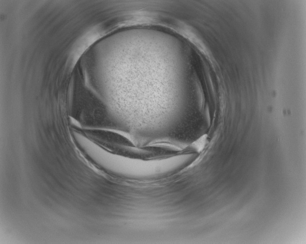 X0000080201337200612221356