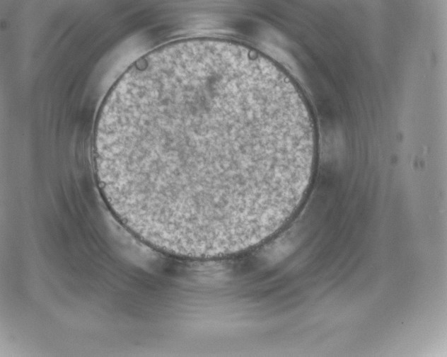 X0000080201338200612221356