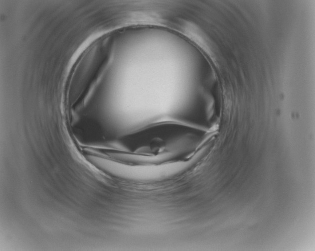 X0000080201339200612221356