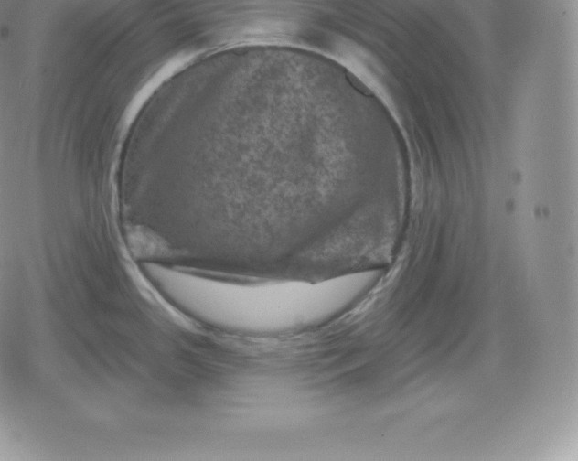 X0000080201341200612221356