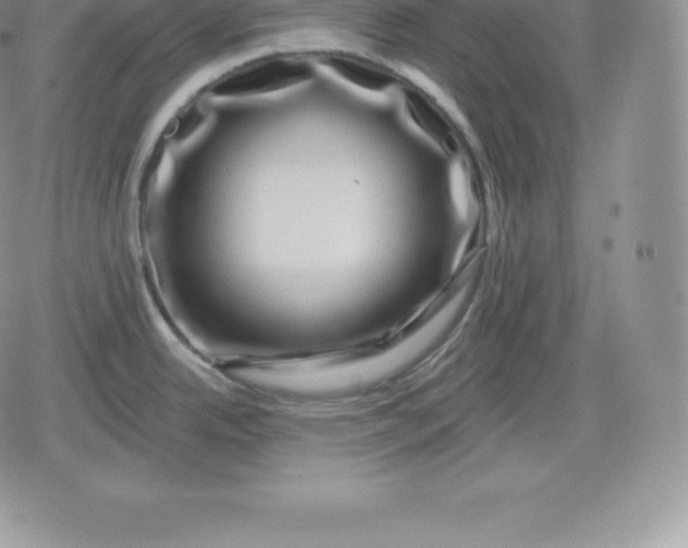 X0000080201342200612221356