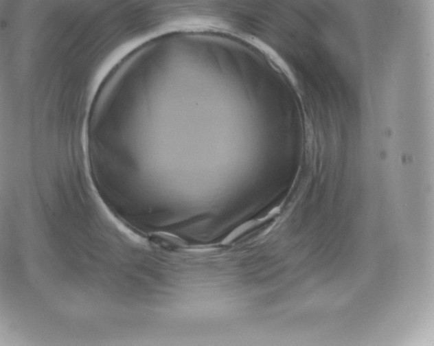 X0000080201343200612221356