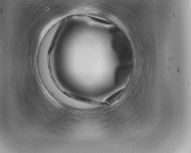 X0000080201344200612221356