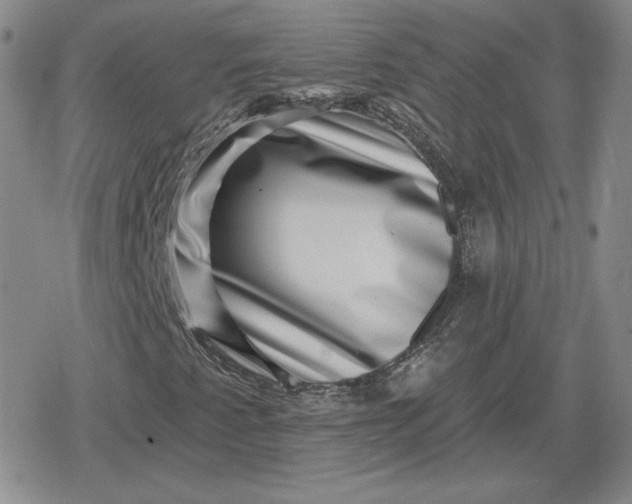 X0000080201345200612221355