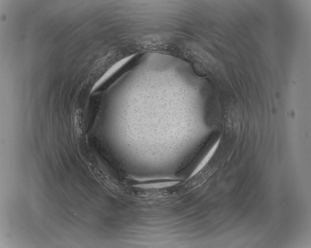 X0000080201346200612221355