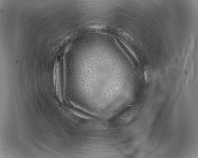 X0000080201347200612221355