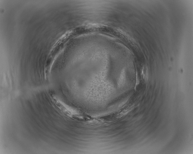 X0000080201348200612221355