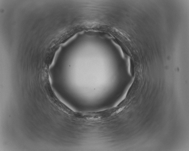 X0000080201349200612221355