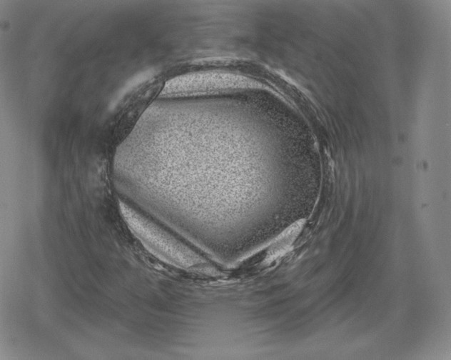 X0000080201351200612221355