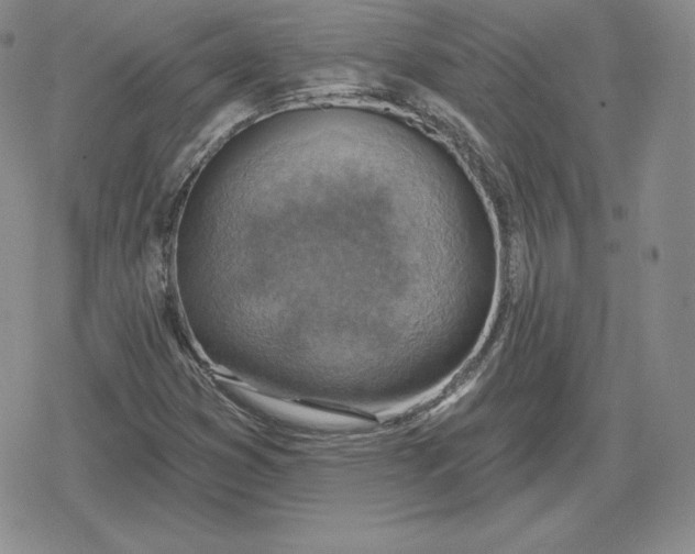 X0000080201353200612221355