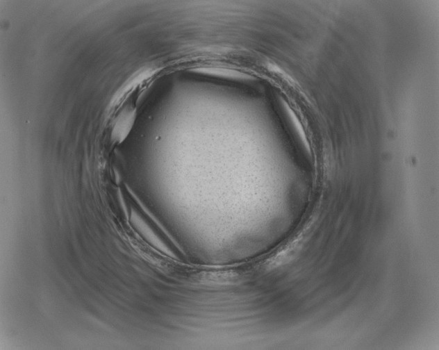 X0000080201354200612221355