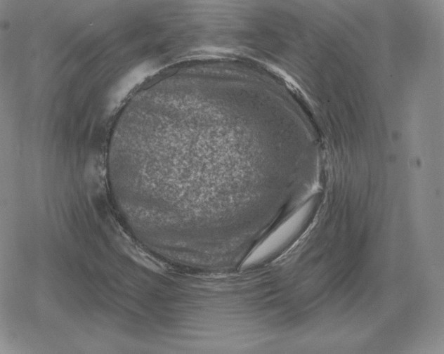 X0000080201355200612221355