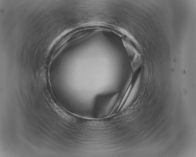 X0000080201356200612221355