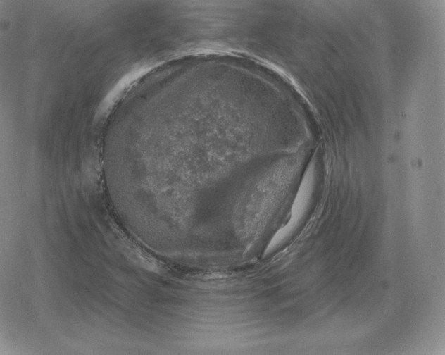 X0000080201359200612221355