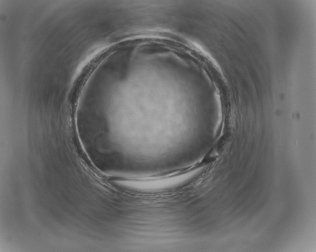 X0000080201360200612221355