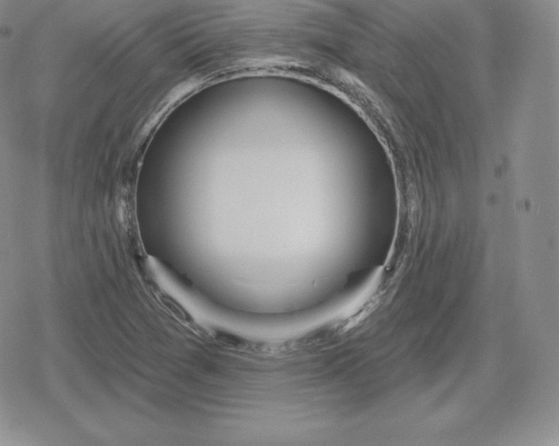 X0000080201361200612221355