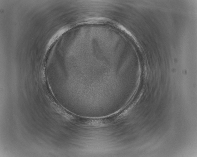 X0000080201362200612221355