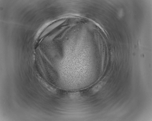 X0000080201363200612221355