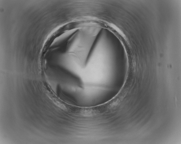 X0000080201364200612221355