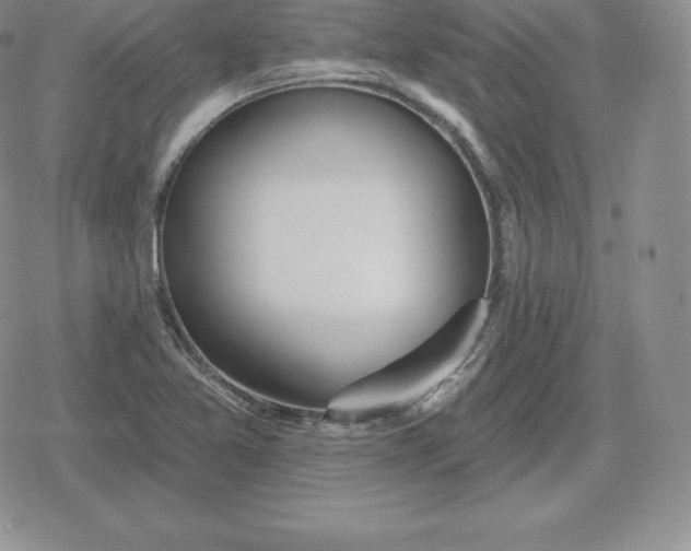 X0000080201365200612221355