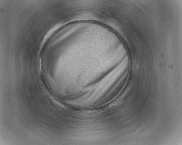 X0000080201366200612221355