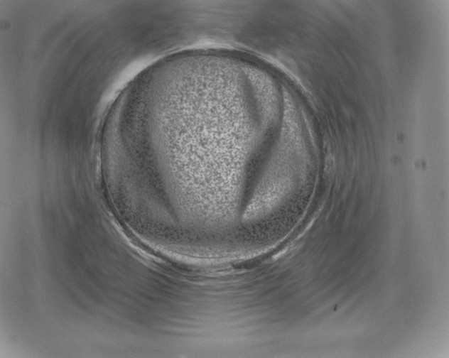 X0000080201367200612221355