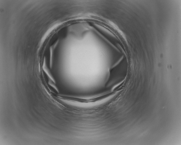 X0000080201368200612221355