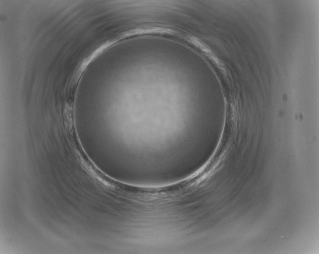 X0000080201369200612221355