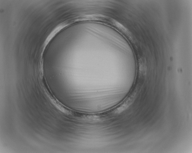 X0000080201370200612221355