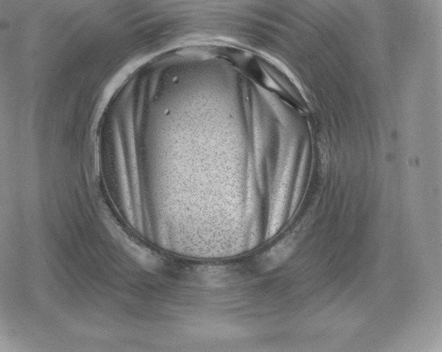 X0000080201371200612221355