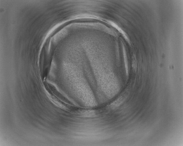 X0000080201372200612221355